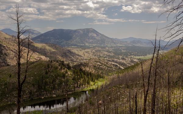 Cub Lake, Rocky Mountain National Park